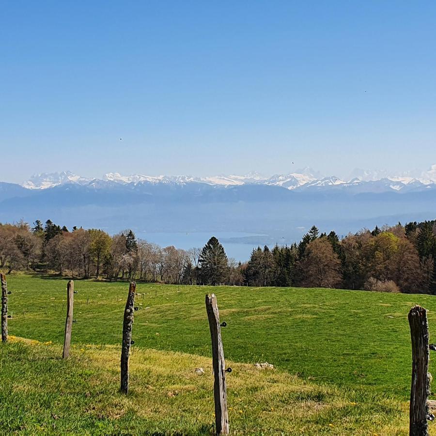 Residence Entre Monts Et Lac Nyon Exteriér fotografie
