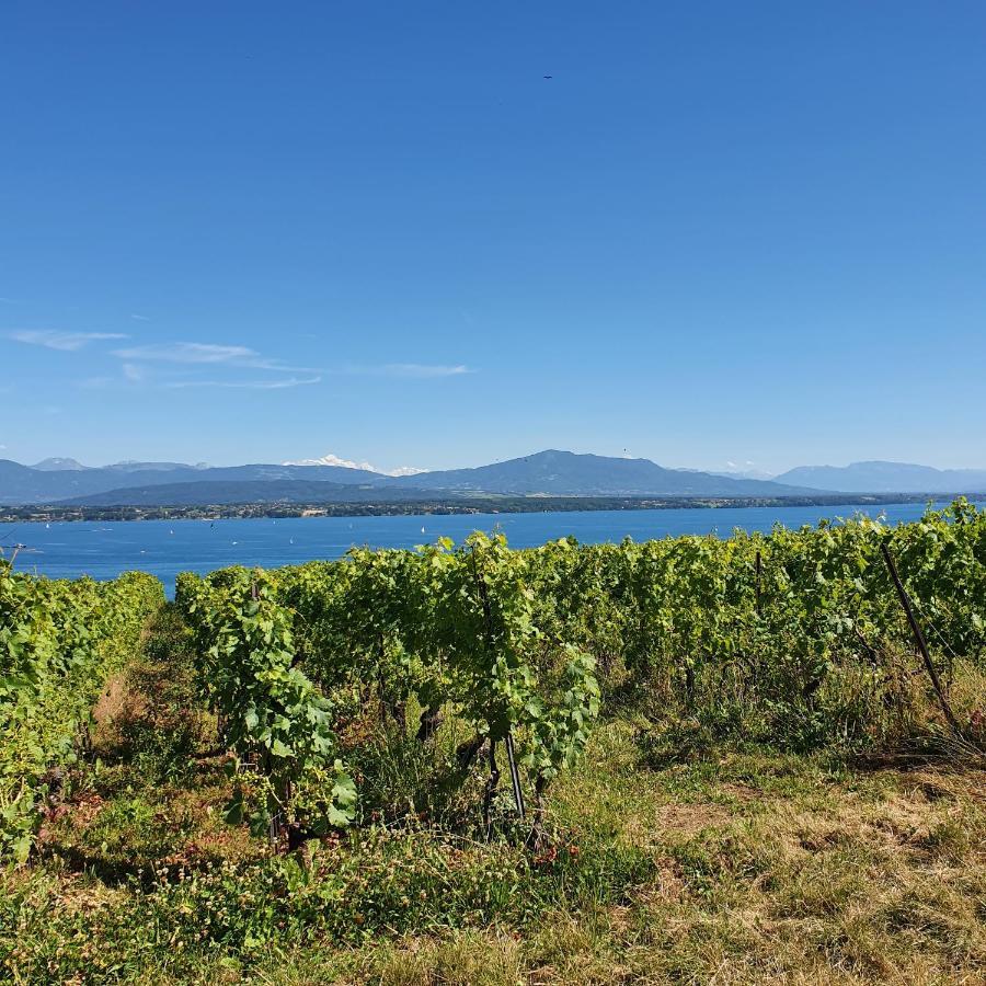 Residence Entre Monts Et Lac Nyon Exteriér fotografie