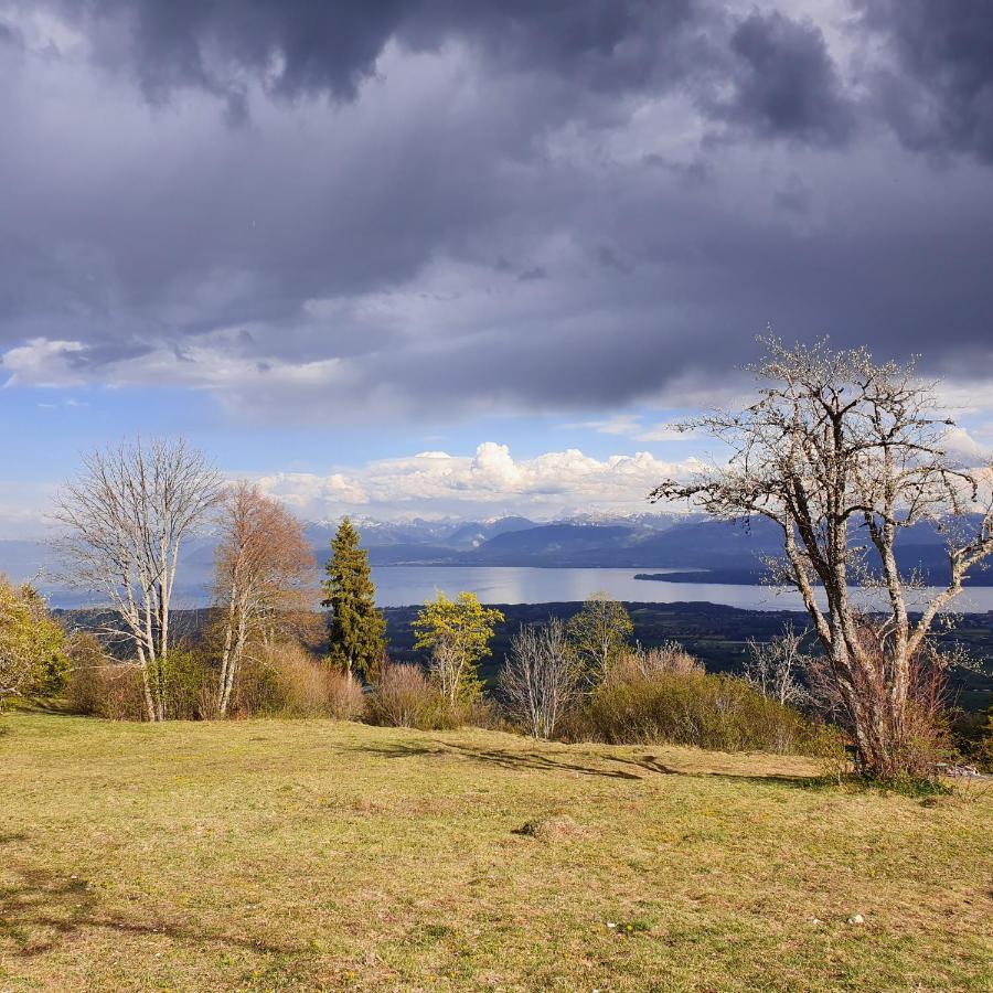 Residence Entre Monts Et Lac Nyon Exteriér fotografie